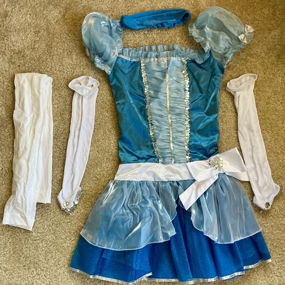 Cinderella Costume for women (S)